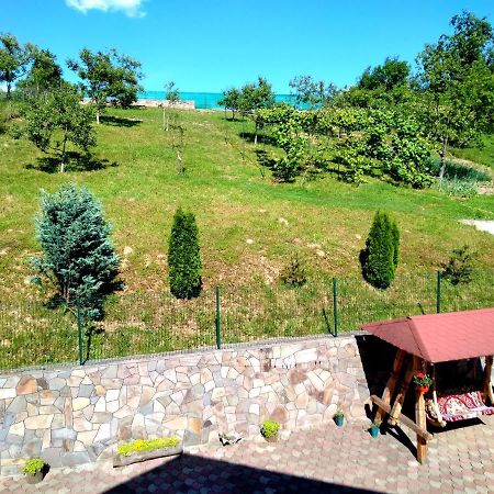 Casa Anca Hotel Sighetu Marmaţiei Buitenkant foto