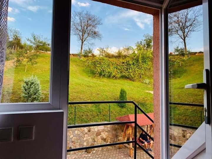 Casa Anca Hotel Sighetu Marmaţiei Buitenkant foto