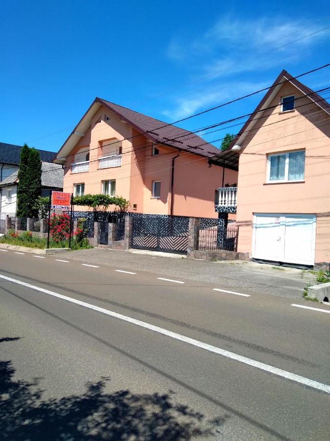 Casa Anca Hotel Sighetu Marmaţiei Buitenkant foto
