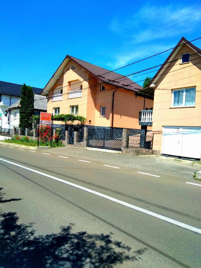 Casa Anca Hotel Sighetu Marmaţiei Buitenkant foto